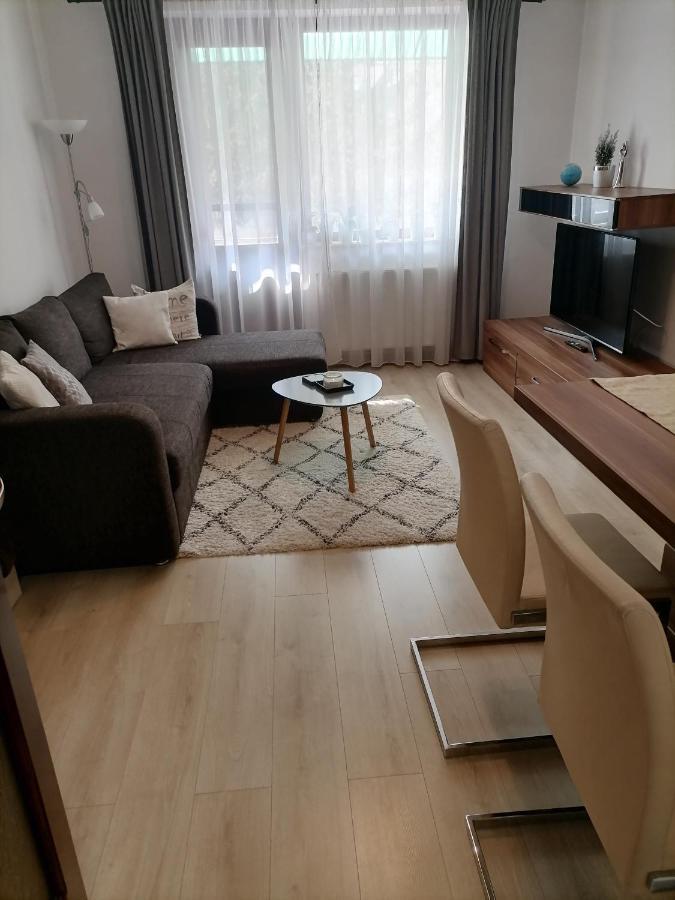 Joy Apartman Apartment Sovata Ngoại thất bức ảnh