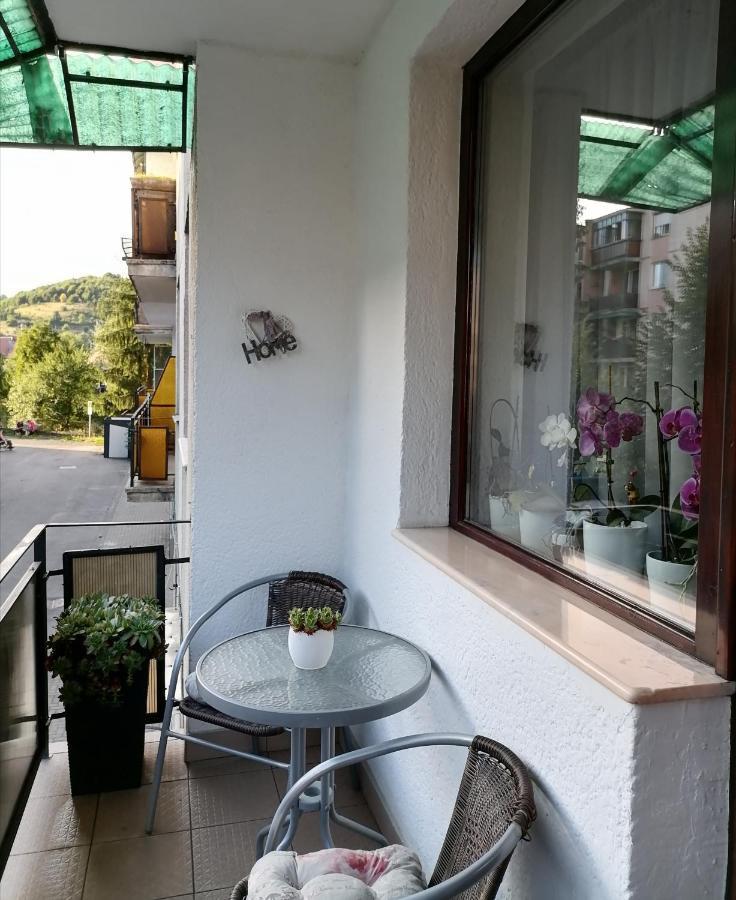 Joy Apartman Apartment Sovata Ngoại thất bức ảnh